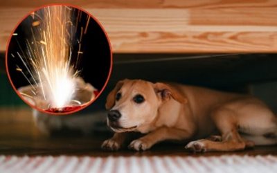 NAVIDAD – FUEGO Y PÓLVORA