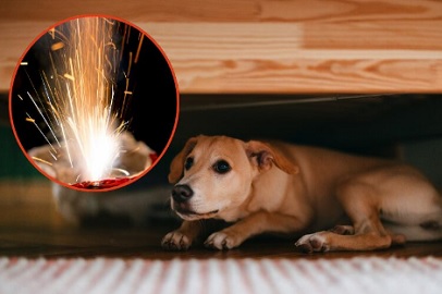 NAVIDAD – FUEGO Y PÓLVORA