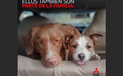 MITSUBISHI ECUADOR ESTÁ CAMBIANDO LA VIDA DE PERROS CALLEJEROS A TRAVÉS DE SU INICIATIVA «UNA VIDA GUAU»