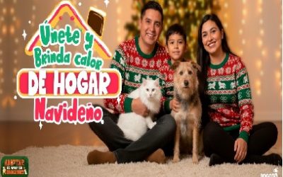BRINDA CALOR DE HOGAR NAVIDEÑO – HOGARES TEMPORALES