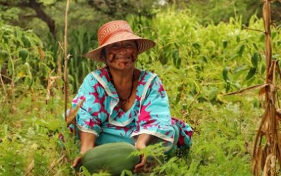 FUNDACIÓN ALPINA Y SU IMPULSO POR LAS HUERTAS AGROECOLÓGICAS QUE CUIDAN LA TIERRA