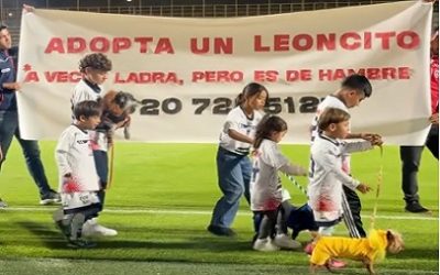 ADOPTA UN LEONCITO” CAMPAÑA DE FORTALEZA PARA PERRITOS RESCATADOS