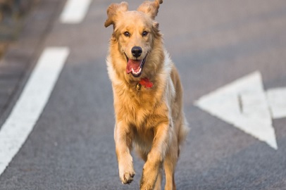 ES HORA DE BAJAR LA VELOCIDAD Y TOMAR CONCIENCIA