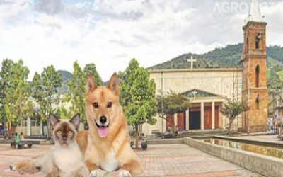 MUZO-BOYACA, PRIMER MUNICIPIO DE COLOMBIA SIN ANIMALES EN CONDICIÓN DE CALLE
