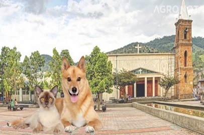 MUZO-BOYACA, PRIMER MUNICIPIO DE COLOMBIA SIN ANIMALES EN CONDICIÓN DE CALLE