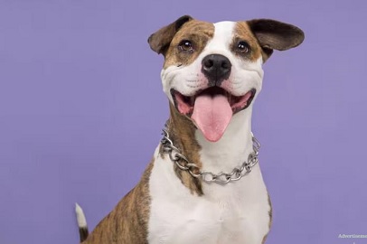 NI PELIGROSOS, NI VIOLENTOS