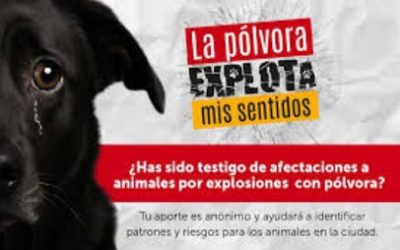 «LA PÓLVORA EXPLOTA MIS SENTIDOS”