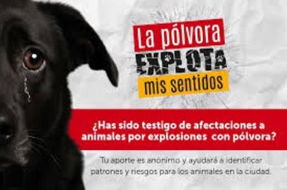 «LA PÓLVORA EXPLOTA MIS SENTIDOS”