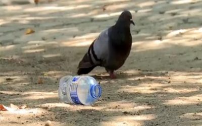 PROFESOR JESÚS REY PEÑA Y SU PROYECTO “REUTILIZACIÓN Y RECICLAJE DE PLÁSTICOS»