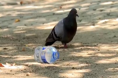 PROFESOR JESÚS REY PEÑA Y SU PROYECTO “REUTILIZACIÓN Y RECICLAJE DE PLÁSTICOS»