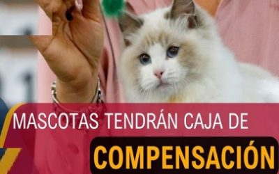 CAJAS DE COMPENSACIÓN EN COLOMBIA, TENDRÁN SERVICIOS PARA LOS ANIMALES DE COMPAÑÍA