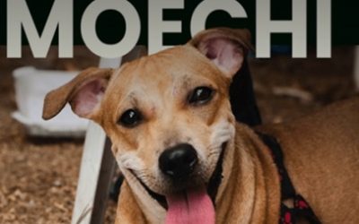 MISIÓN MOECHI – ¡EL CORAZÓN DE LA AMAZONÍA SIGUE LATIENDO!