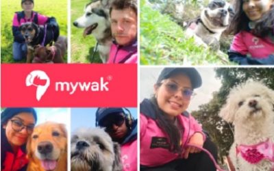 MYWAK ES LA PRIMERA APP EN COLOMBIA DE PASEADORES Y ENTRENADORES CERTIFICADOS