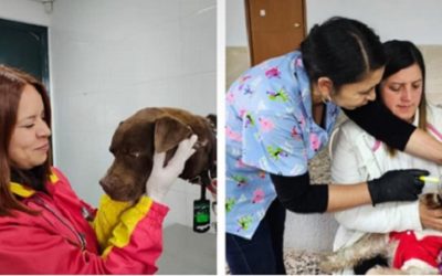 LOCALIDAD DE USME  LIDERÓ EN PROTECCIÓN Y BIENESTAR ANIMAL EN 2025