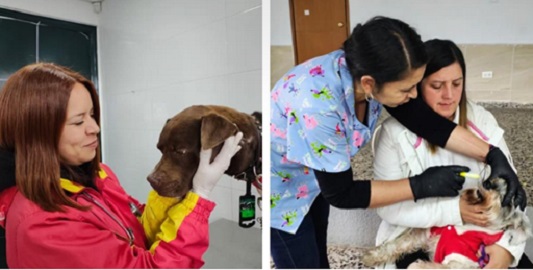 LOCALIDAD DE USME  LIDERÓ EN PROTECCIÓN Y BIENESTAR ANIMAL EN 2025