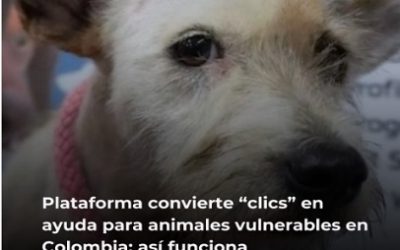 UN CLICK QUE SALVA VIDAS