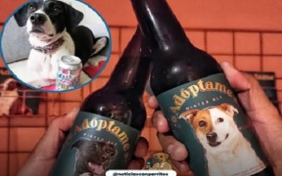 APOLO, LA CERVEZA QUE AYUDA Y VISIBILIZA A LOS PERRITOS EN SITUACIÓN DE CALLE EN MÉXICO.