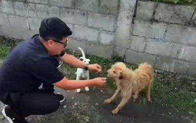 EDUARDO NUGRA, EL VETERINARIO QUE SANA EL ABANDONO DONDE NACE EL OLVIDO