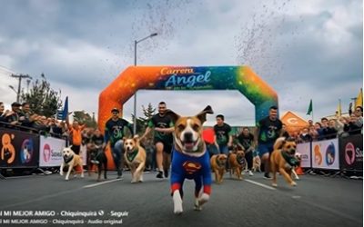CARRERA ÁNGEL POR LOS ANIMALES EN BOGOTÁ