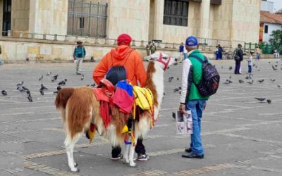 BOGOTÁ LE PONE FIN A LA EXPLOTACIÓN ECONÓMICA ANIMAL EN ESPACIO PÚBLICO
