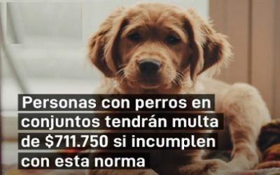 SABIAS DEJAR A TU PELUDITO SUELTO EN LAS ZONAS COMUNES TE PUEDE SALIR MUY CARO