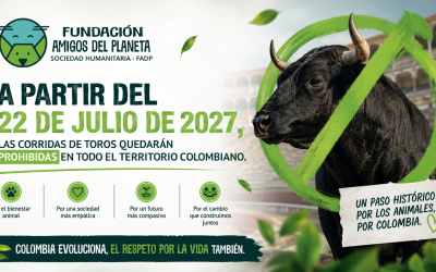Colombia da un paso histórico en la protección animal: las corridas de toros serán prohibidas desde 2027