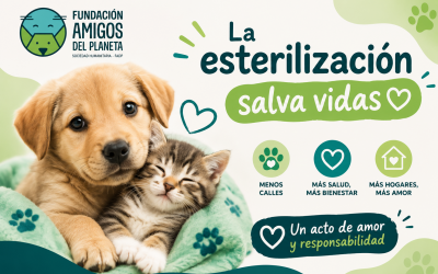 La esterilización salva vidas