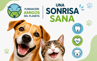 Una sonrisa sana es una vida más feliz