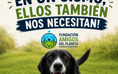 EN UN SISMO ELLOS TAMBIÉN NOS NECESITAN.