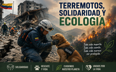 TERREMOTOS Y MEDIO AMBIENTE