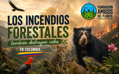 Detrás de cada incendio, hay una vida intentando sobrevivir.