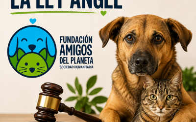 Ley Ángel: Un Avance Histórico Contra el Maltrato Animal en Colombia