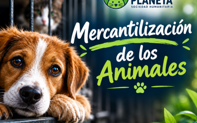 Reproducción, Cría y Venta De Mascotas; Critica a la Praxis de la Mercantilización Animal.
