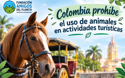 Colombia prohíbe el uso de animales en actividades turísticas